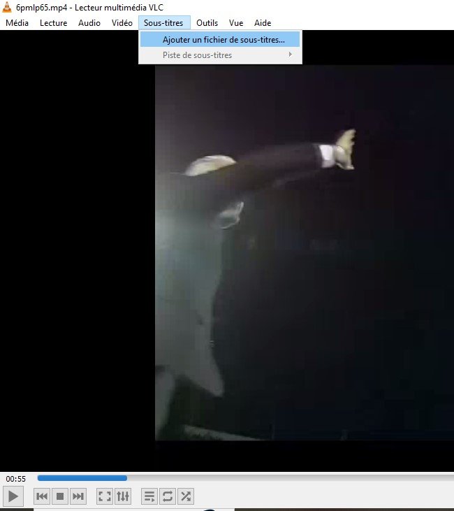 Subtitles screenshot